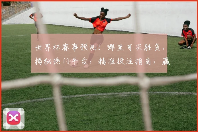 世界杯赛事预测：哪里可买胜负，揭秘热门平台，精准投注指南，赢在起跑线