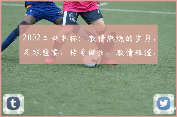 2002年世界杯：激情燃烧的岁月，足球盛宴，传奇诞生，激情碰撞，谁将问鼎