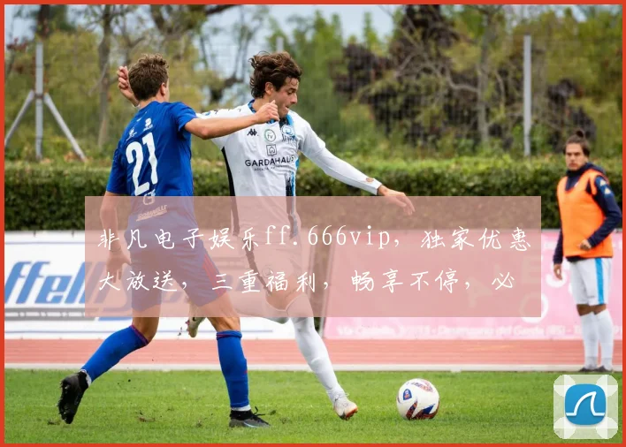 非凡电子娱乐ff.666vip，独家优惠大放送，三重福利，畅享不停，必看攻略