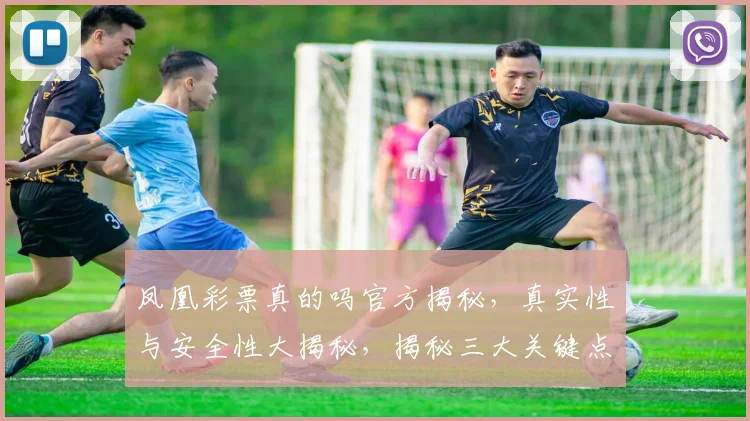 凤凰彩票真的吗官方揭秘，真实性与安全性大揭秘，揭秘三大关键点，值得一看