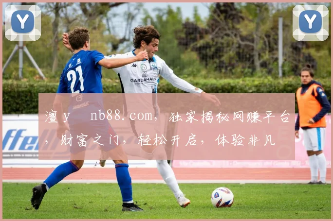 澶у彂nb88.com，独家揭秘网赚平台，财富之门，轻松开启，体验非凡